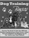 Thumbnail dog training 